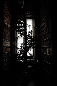 black metal spiral ladder thumbnail