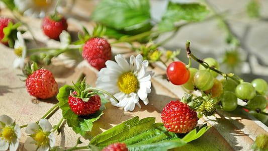 red strawberry beside white daisy thumbnail