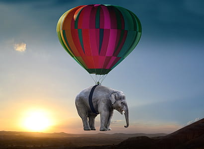 elephant balloon photo thumbnail