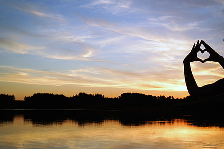 silhouette photograph of person's hand during golden hour thumbnail