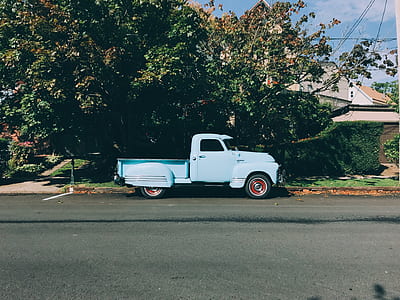 blue pickup truck parked near tree thumbnail