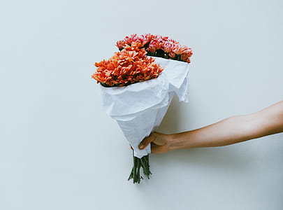 person holding two bouquet of red petaled flowers thumbnail