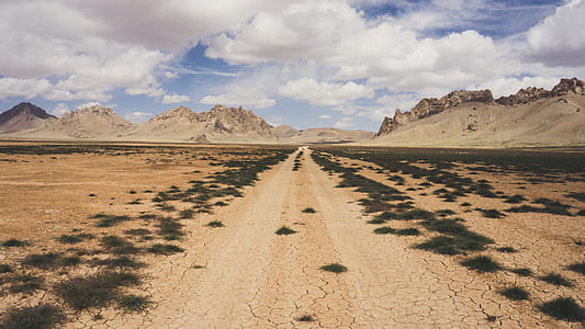 valley with green grasses thumbnail