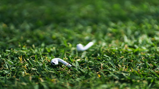 pair of AirPods on green grass thumbnail