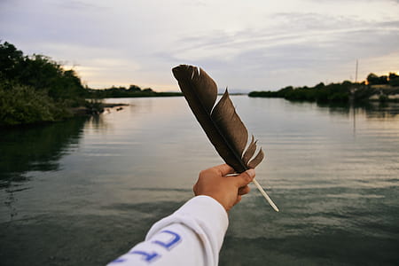 person holding black feather thumbnail