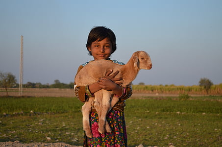 girl carrying goat standing on grass field thumbnail
