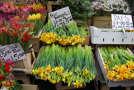 variety of flowers thumbnail