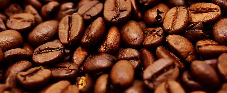 brown coffee beans thumbnail