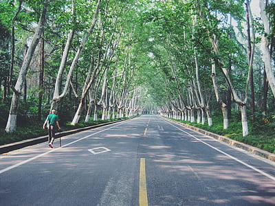 man walking on asphalt road beside trees during daytime thumbnail