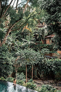 houses surrounded by trees thumbnail