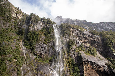 Waterfall Surrounded by Trees thumbnail