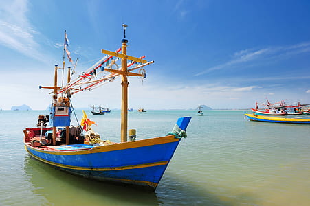 yellow wooden boat in body of water thumbnail