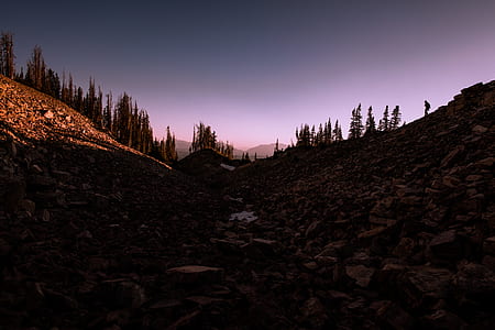rocky mountain with pine trees at golden hour thumbnail