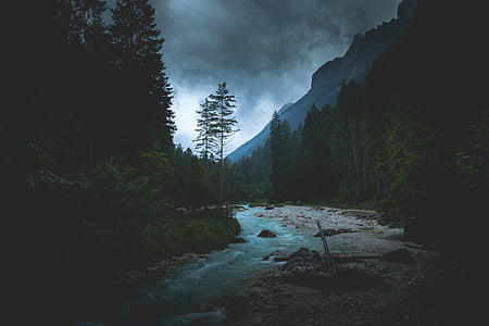 steam between green pine trees thumbnail
