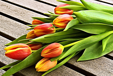 red-and-yellow tulips on brown wood planks thumbnail
