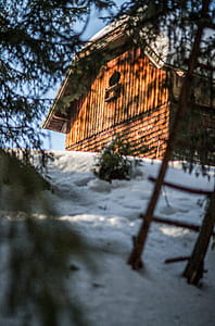 selective focus of wooden house thumbnail