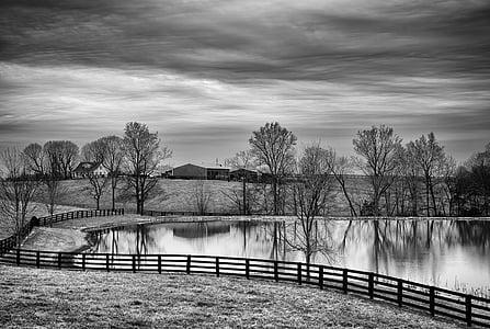 grayscale photo of body of water thumbnail