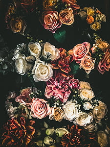 white, brown, and pink flowers thumbnail