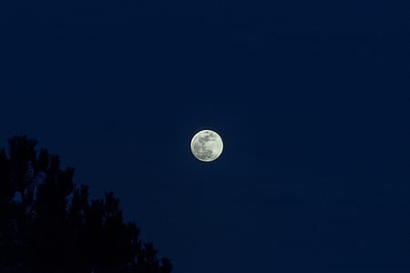 full moon thumbnail