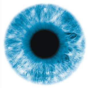 Eye Camera lens Contact Lenses, eyes, close-up photography of blue eye PNG clipart
