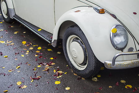 white Volkswagen Beetle on pavement thumbnail
