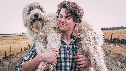 man carrying bearded collie thumbnail