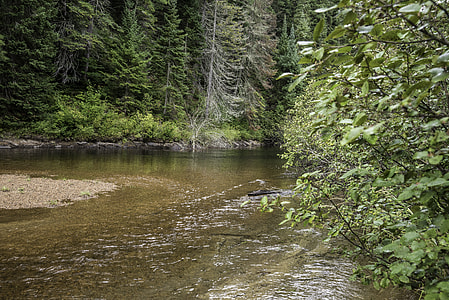 Scenic River at Algonquin Provincial Park, Ontario Canada thumbnail