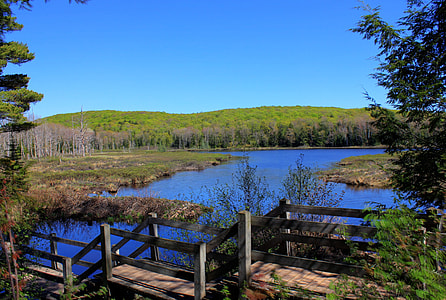View from the steps at Porcupine Mountains State Park, Michigan thumbnail