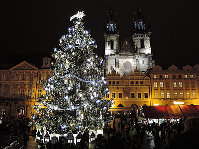 lighted Christmas tree in front cathedral thumbnail