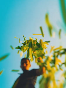 Selective Focus Photo of Man Dropping Grasses thumbnail
