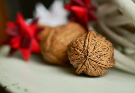 selective focus photography of walnut thumbnail