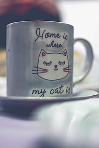 White Ceramic Mug With Saucer thumbnail
