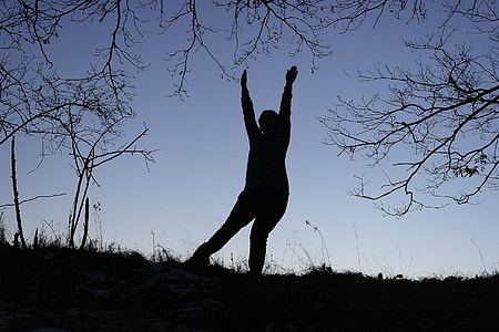 silhouette of person standing near tree thumbnail