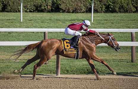 horse racing sport during daytime thumbnail