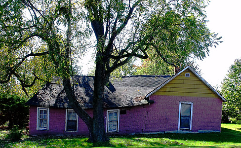 purple and black house under tree thumbnail