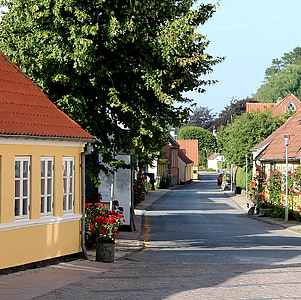 street with houses and trees thumbnail