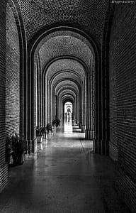 Grayscale Photograph of Hall thumbnail