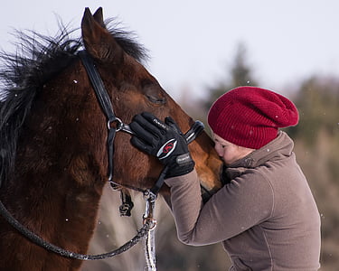 close-up photo of woman kissing horse nose thumbnail