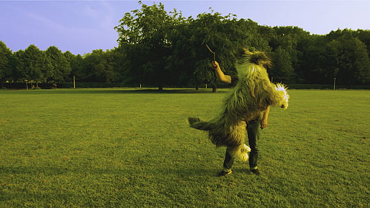 jumping long-coated gray dog thumbnail