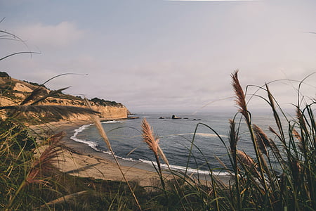 green grasses beside body of water during sunset thumbnail