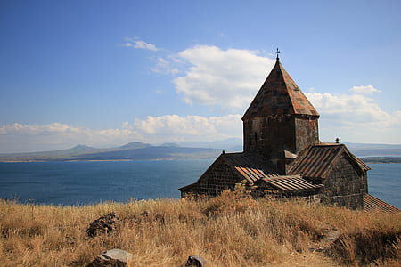 brown and black concrete structure near body of water thumbnail