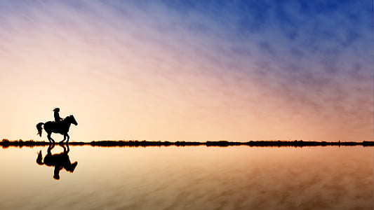 person riding horse reflection on body of water thumbnail
