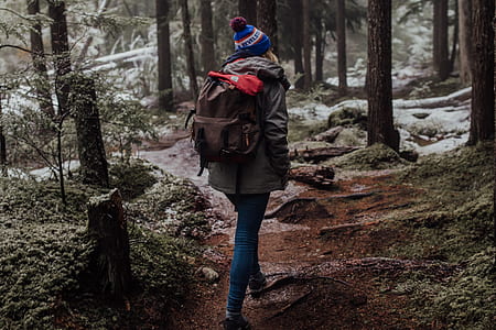woman, female, tree, woodland thumbnail