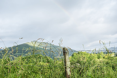 gray fence near grasses thumbnail