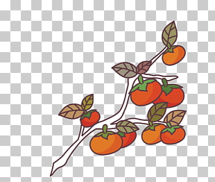 Blue Watercolor painting Brush, Blue brush strokes, round red and orange fruits on branch photo PNG clipart