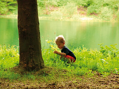 boy sitting on green grass in front of tree near body of water thumbnail