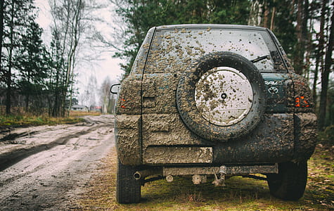 blue Toyota RAV4 on dirt road surrounded by trees at daytime thumbnail