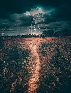 selective color photo of lightning thumbnail