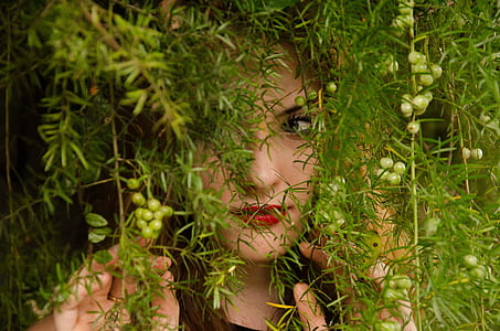 woman beside green leaf plant thumbnail