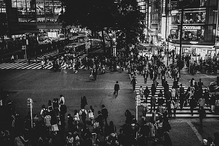 grayscale of people in the city thumbnail